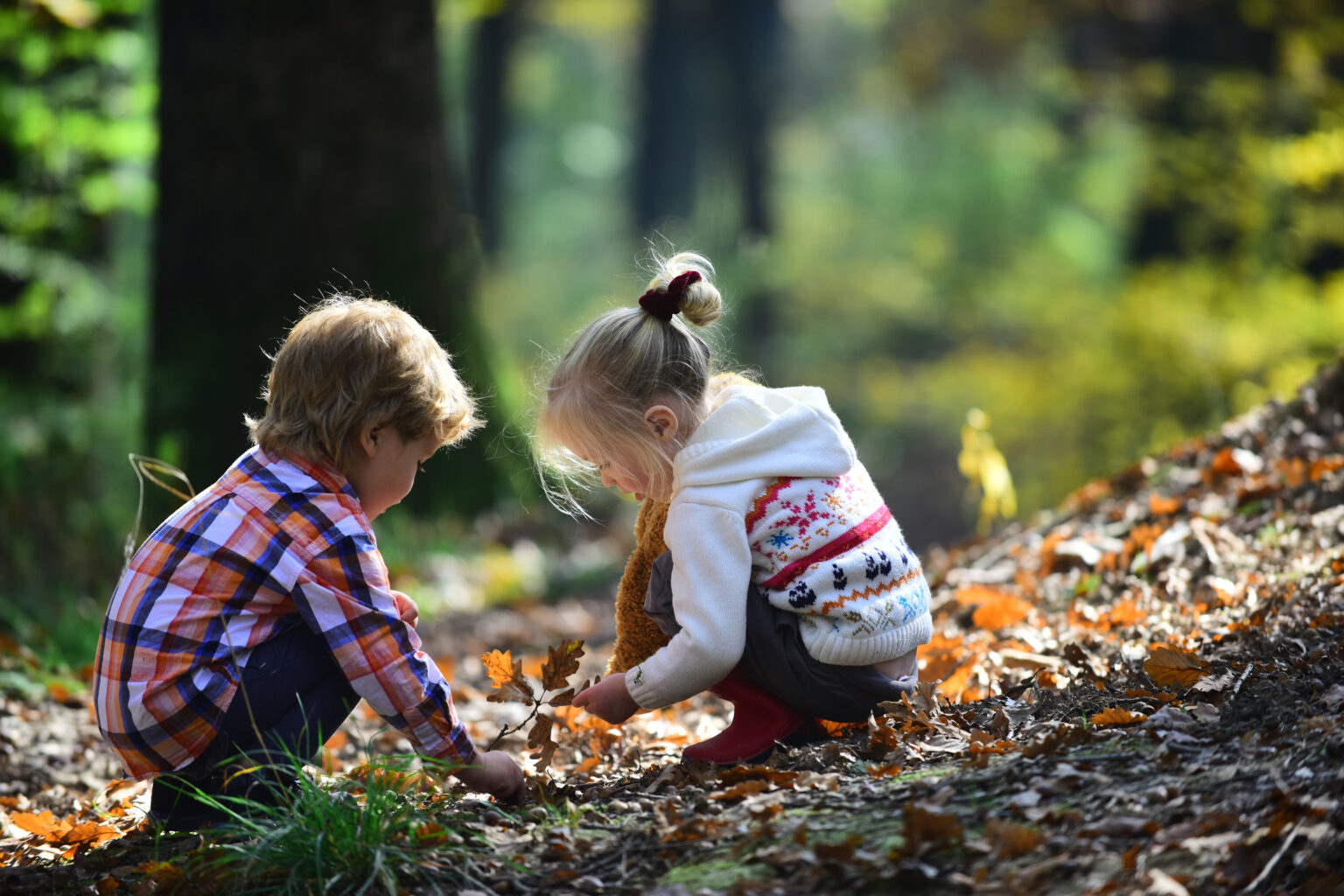Children taking part in outdoor activities